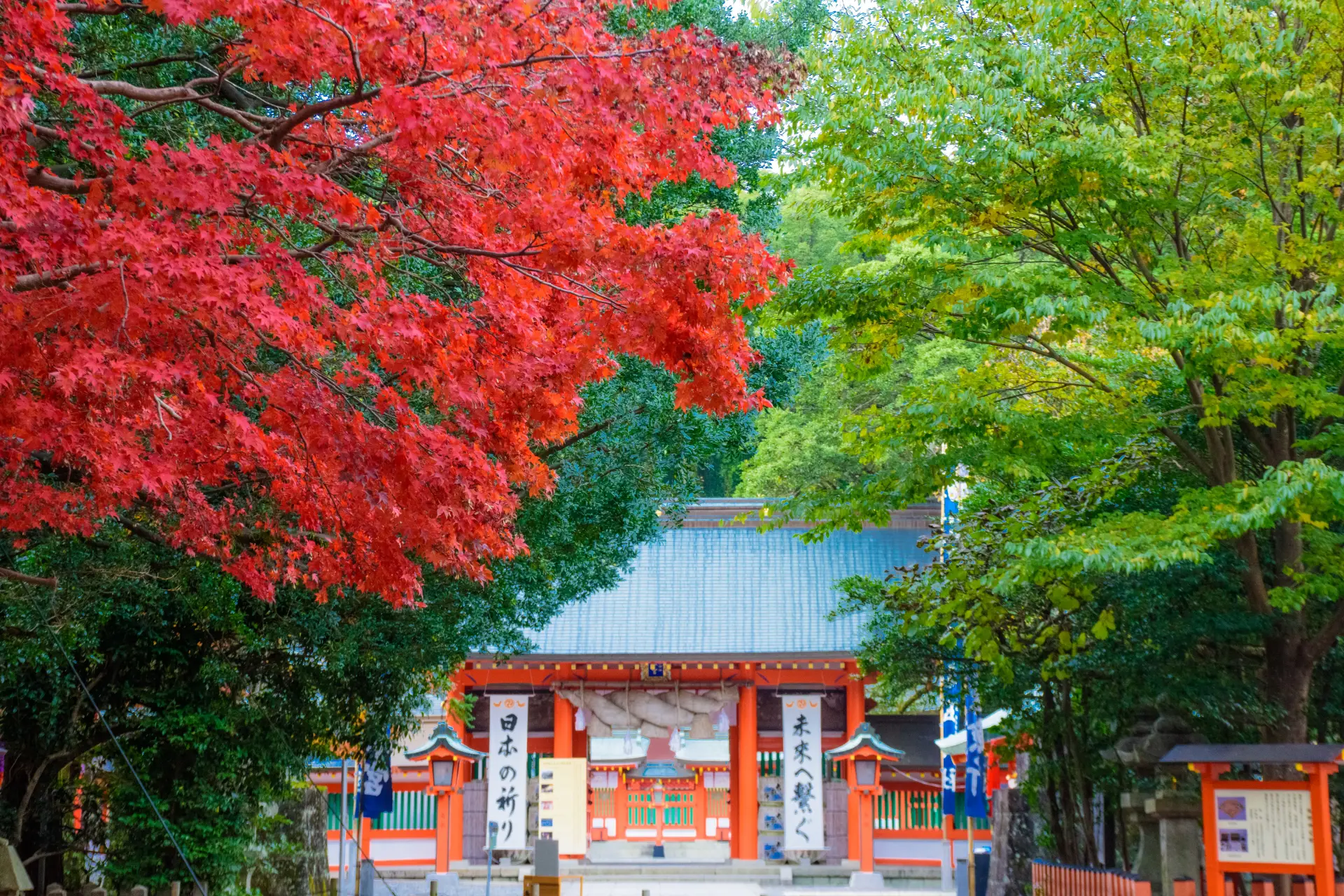 A Stroll Through Kumano Hayatama Grand Shrine and the Town of Shingu
