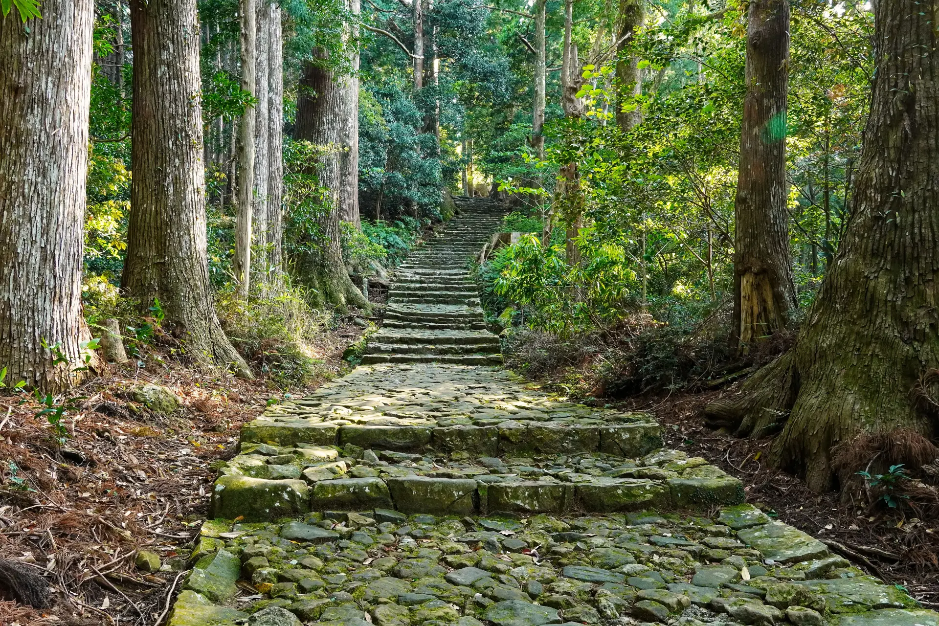 The Cobblestone Path of the Kumano Kodo: Walking the Daimonzaka